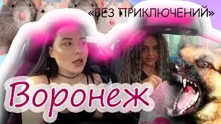 ИНЦИНДЕНТ НА ТРАССЕ И КАК МЫ УЕХАЛИ БЕЗ ДОКУМЕНТОВ В ДРУГОЙ ГОРОД