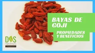 Bayas de GOJI: Propiedades y beneficios
