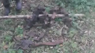 БЫВАЕТ ЖЕ ТАКОЕ!!! ПРОВЕРИЛИ ОЧЕРЕДНУЮ ЛЕСНУЮ ДОРОГУ!!!