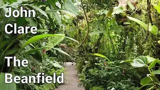 John Clare - The Beanfield
