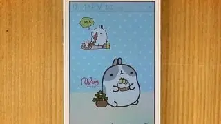 Molang Battery Widget Review