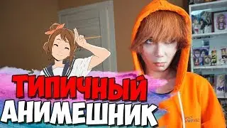 ТИПИЧНЫЙ АНИМЕШНИК