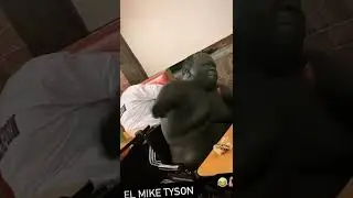 Mike tyson🔥🔥🔥