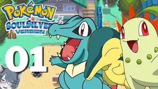 My first journey to JOHTO REGION! [Pokémon SoulSilver] #1 (Walkthrough)