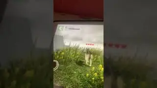 Вовк подякував природі шо найшов дорогу додому