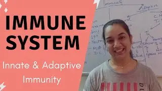Immune System | Introduction to Immune System | Immune System - Innate Immunity & Adaptive Immunity