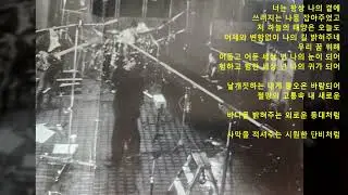 박정운6집 넌