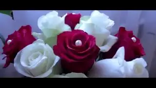 Николай и Анастасия | Good Media