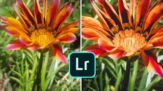 Edición de foto en lightroom móvil (FLOR)