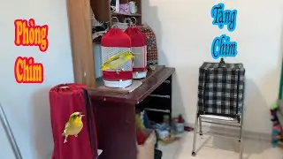 Phòng Chim | Đam Mê Của Cậu Học Sinh Và Tặng Chim Khuyên - bird room
