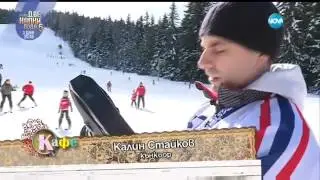 SLED DOGS - 