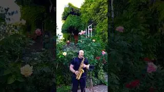 Autumn Leaves (1st fragment, cover) #saxcover #saxophone #music #jazz