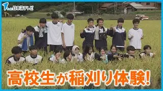 【高校生が稲刈り体験】「ロボットを操縦するみたいでとても楽しかった」　海外での販売方法を農家に向けて提案も　島根県雲南市