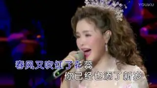 王紫菲【往事只能回味】现场版MV