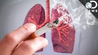 How Exactly Does Smoking Kill?