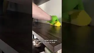 Use These Tools to Dust Your Home the Right Way | Day 17 Spring Cleaning Spree 2024 