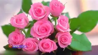 نما اهنگی زیبا به مناسبت ولادت حضرت محمد(ص) +فیلم- (buatiful song ( mohammad aminul islam