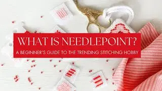What is Needlepoint? A Beginner's Guide to the Timeless (and Trending!) Stitching Hobby