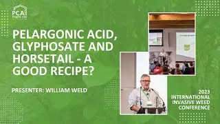 Pelargonic Acid, Glyphosate and Field Horsetail - is it a good recipe?