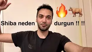 Shiba coin neden yükselmiyor ?