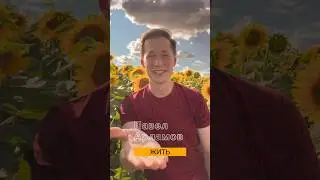Друзья, СКОРО ПРЕМЬЕРА 🔥💐😁 «Жить» 26 июля на всех площадках #музыка #павеларламов #жить #премьера
