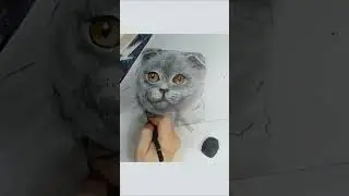 Милый котик в графике 