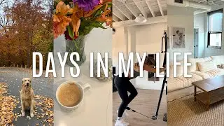 VLOG: furniture delivery, getting back into routine, cleaning, etc.