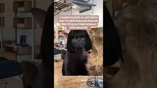 POR FAVOR SÓLO LAS PUNTAS ✂️🫣💇‍♀️ Confirmen!!!😄FELIZ INICIO DE SEMANA💕