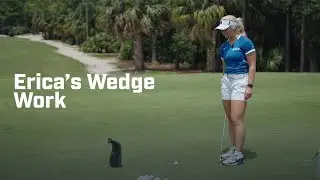 Erica's Wedge Work | Pro Work: The Dewsweepers Stable