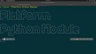 Python platform module