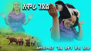 ድመትና ጅብ ተዋደው በሚኖሩበት ዘመን ከእኛ ፍቅር ይጥፋ ወይ?‼️