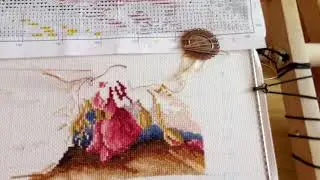 Рто маки и подсолнухи,, обзор и начало процесса