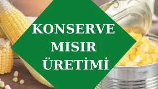 Güvenli ve Lezzetli Konserveler Nasıl Üretilir? #konserve