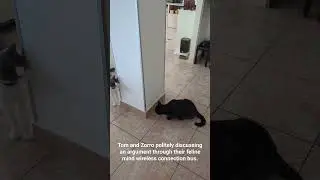 They often do that and I always wonder what they're saying