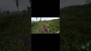 #videoshort #evrima #dino #survival #game #theisle #shorts