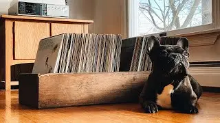 What's In That Stack Of Records We Always See?