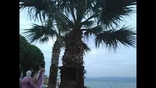 Edremit Akçay da satılık yazlık emlak,Baran Emlak