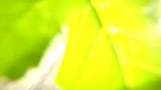 пробный1