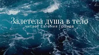 Залетела душа в тело…