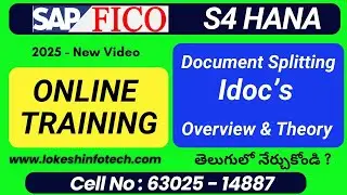 Document Splitting & IDoc Overview in SAP FICO S/4HANA – Explained in Telugu