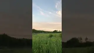 #aesthetic #summer