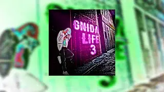 VORBL - GNIDA LIFE 3 (ROFL ALBUM,2024)