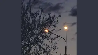 Больше, чем