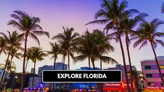 Florida Fiesta: Soak Up the Sunshine, Adventure, and Magic!