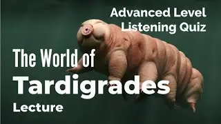 Tardigrades - Listening Quiz Practice for Advanced Learners of English + Free Printable Quiz