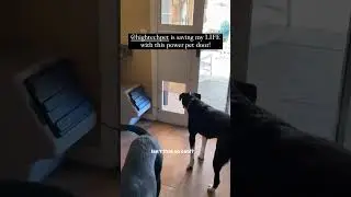 This Smart Pet Door Will Change Your Life!
