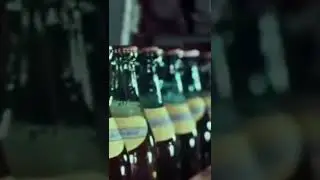 Жигулёвское пиво. Жигулёвский пивоваренный завод в Самаре (Куйбышев 1973) 