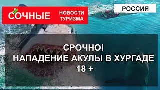 СРОЧНО! ЕГИПЕТ 2023| Нападение акулы в Хургаде 8 июня 2023