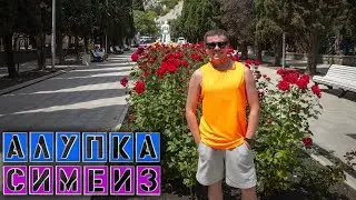 Распаковка с Wildberries / Лавандовое поле / Пляж Русалка Кореиз / Цены Ялта | Игнат Солошенко 669