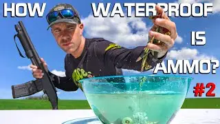 How Water Proof is Live Ammo?! (Part 2) *Submerged For 2 MONTHS*